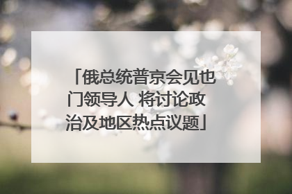 俄总统普京会见也门领导人 将讨论政治及地区热点议题