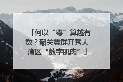 何以“粤”算越有数？韶关集群开秀大湾区“数字肌肉”