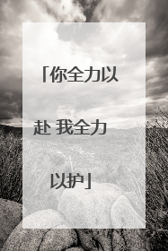 你全力以赴 我全力以护