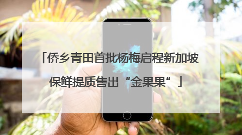 侨乡青田首批杨梅启程新加坡 保鲜提质售出“金果果”