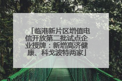 临港新片区增值电信开放第二批试点企业授牌：新增高济健康、科戈波特两家