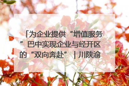 为企业提供“增值服务”巴中实现企业与经开区的“双向奔赴”｜川陕渝网络名人巴中行