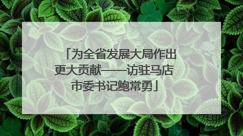 为全省发展大局作出更大贡献——访驻马店市委书记鲍常勇