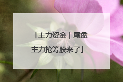 主力资金｜尾盘主力抢筹股来了