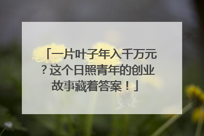 一片叶子年入千万元？这个日照青年的创业故事藏着答案！