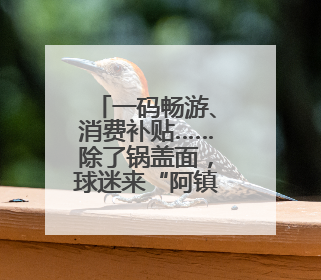 一码畅游、消费补贴……除了锅盖面，球迷来“阿镇”还有十大福利！
