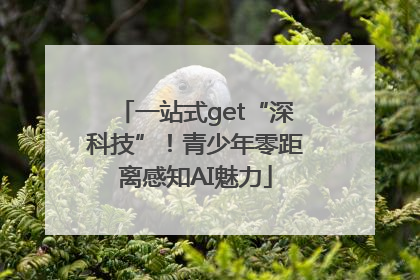 一站式get“深科技”！青少年零距离感知AI魅力