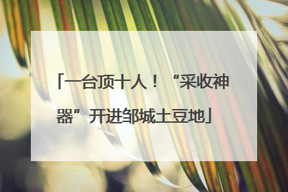 一台顶十人！“采收神器”开进邹城土豆地