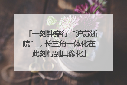 一刻钟穿行“沪苏浙皖”，长三角一体化在此刻得到具像化