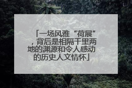 一场风雅“荷展”，背后是相隔千里两地的渊源和令人感动的历史人文情怀