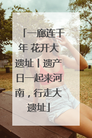 一廊连千年 花开大遗址丨遗产日一起来河南，行走大遗址