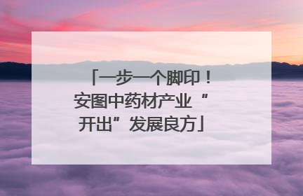 一步一个脚印！安图中药材产业“开出”发展良方