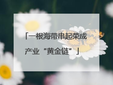 一根海带串起荣成产业“黄金链”