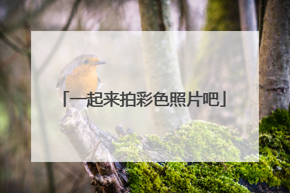 一起来拍彩色照片吧