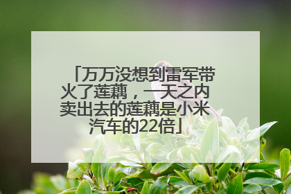 万万没想到雷军带火了莲藕，一天之内卖出去的莲藕是小米汽车的22倍