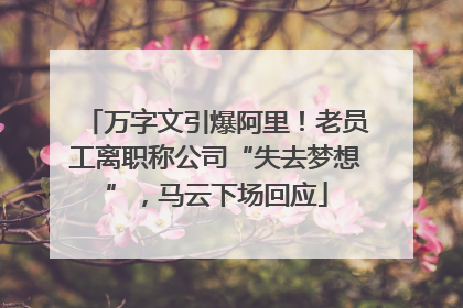 万字文引爆阿里！老员工离职称公司“失去梦想”，马云下场回应
