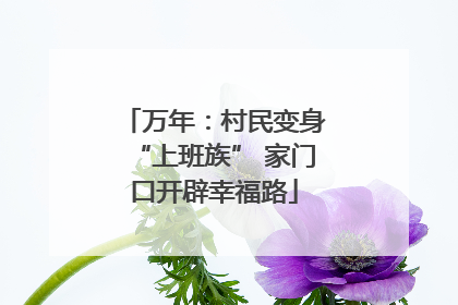 万年：村民变身“上班族” 家门口开辟幸福路