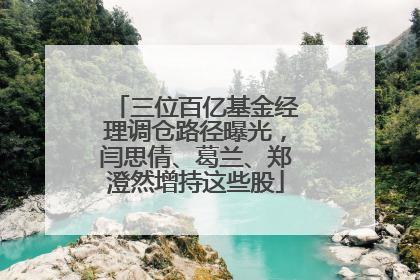 三位百亿基金经理调仓路径曝光，闫思倩、葛兰、郑澄然增持这些股