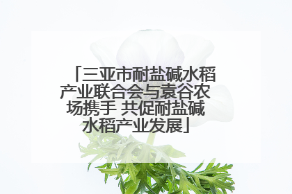 三亚市耐盐碱水稻产业联合会与袁谷农场携手 共促耐盐碱水稻产业发展