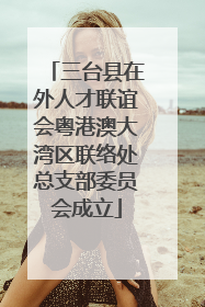 三台县在外人才联谊会粤港澳大湾区联络处总支部委员会成立