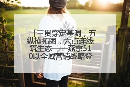 三贯穿定基调，五纵横拓图，六点连线筑生态——燕京510以全域营销战略登顶行业IP新高度
