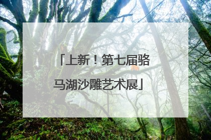 上新！第七届骆马湖沙雕艺术展