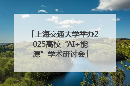 上海交通大学举办2025高校“AI+能源”学术研讨会