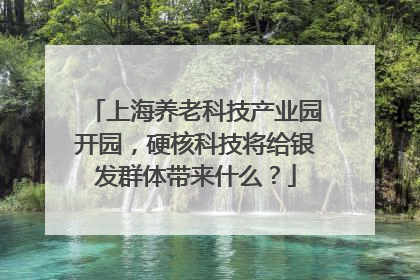 上海养老科技产业园开园，硬核科技将给银发群体带来什么？