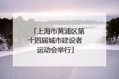 上海市黄浦区第十四届城市建设者运动会举行
