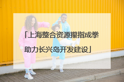 上海整合资源攥指成拳助力长兴岛开发建设