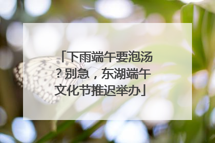 下雨端午要泡汤？别急，东湖端午文化节推迟举办