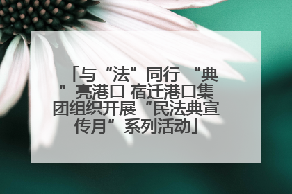 与“法”同行 “典”亮港口 宿迁港口集团组织开展“民法典宣传月”系列活动