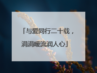 与爱同行二十载，涓涓暖流润人心