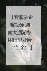 专家驻企破瓶颈 湖南大通湖冬闲田里亚麻“生金”