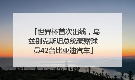 世界杯首次出线，乌兹别克斯坦总统豪赠球员42台比亚迪汽车