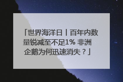 世界海洋日丨百年内数量锐减至不足1% 非洲企鹅为何迅速消失？