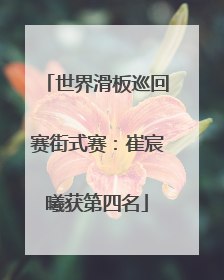 世界滑板巡回赛街式赛：崔宸曦获第四名