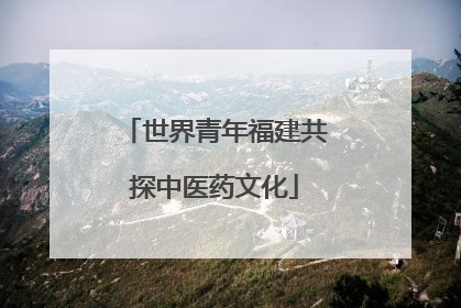 世界青年福建共探中医药文化
