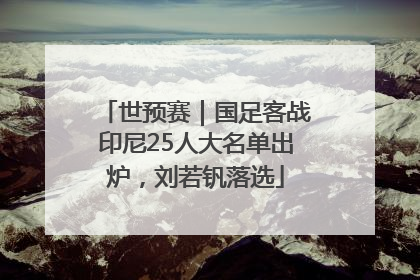 世预赛｜国足客战印尼25人大名单出炉，刘若钒落选