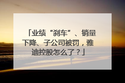 业绩“刹车”、销量下降、子公司被罚，雅迪控股怎么了？