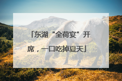 东湖“全荷宴”开席，一口吃掉夏天