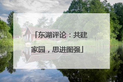 东湖评论：共建家园，思进图强