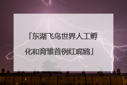 东湖飞鸟世界人工孵化和育雏首例红嘴鸥