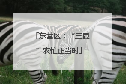 东营区：“三夏”农忙正当时