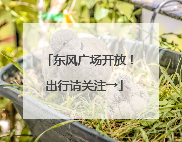东风广场开放！出行请关注→