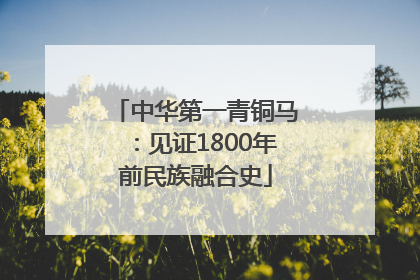 中华第一青铜马：见证1800年前民族融合史