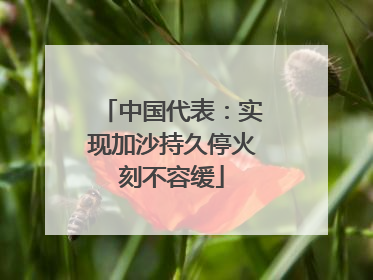 中国代表：实现加沙持久停火刻不容缓
