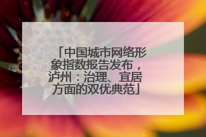 中国城市网络形象指数报告发布，泸州：治理、宜居方面的双优典范