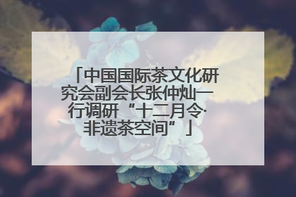 中国国际茶文化研究会副会长张仲灿一行调研“十二月令·非遗茶空间”