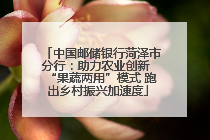 中国邮储银行菏泽市分行：助力农业创新 “果蔬两用”模式 跑出乡村振兴加速度